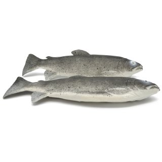2 Forellen Deko Attrappe Kunststoff Lebensmittelattrappe frischer Fisch Fake 