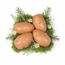 Attrappen Kartoffeln groß VE 3