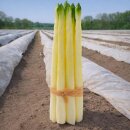 Attrappen Spargel im Bund mit 8 Stangen, grün