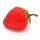Attrappen 12 Stück Erdbeeren mit Grün