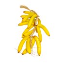 Attrappe Bananenzopf