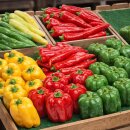 Attrappen Paprika gelb VE 3