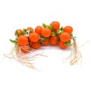 Attrappe Orangenzopf 34 cm