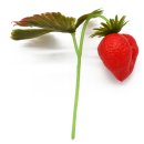 Attrappen Erdbeere mit Stiel und Laub VE 5