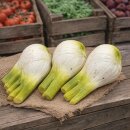 Attrappen 3 Stück Fenchel