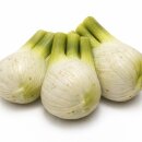Attrappen 3 Stück Fenchel