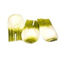 Attrappen 3 Stück Fenchel